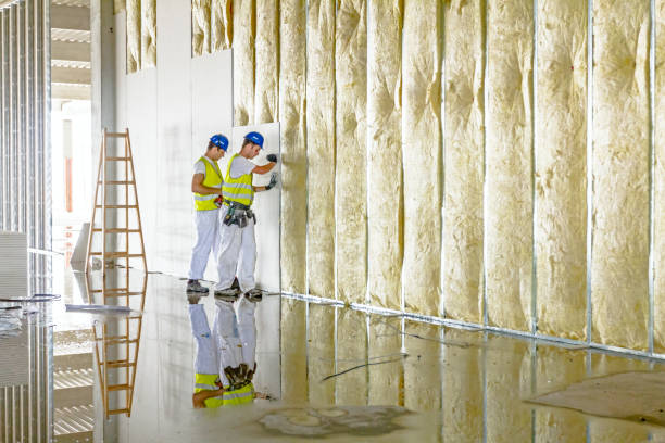 Best Insulation Maintenance and Repair in Leipsic, OH